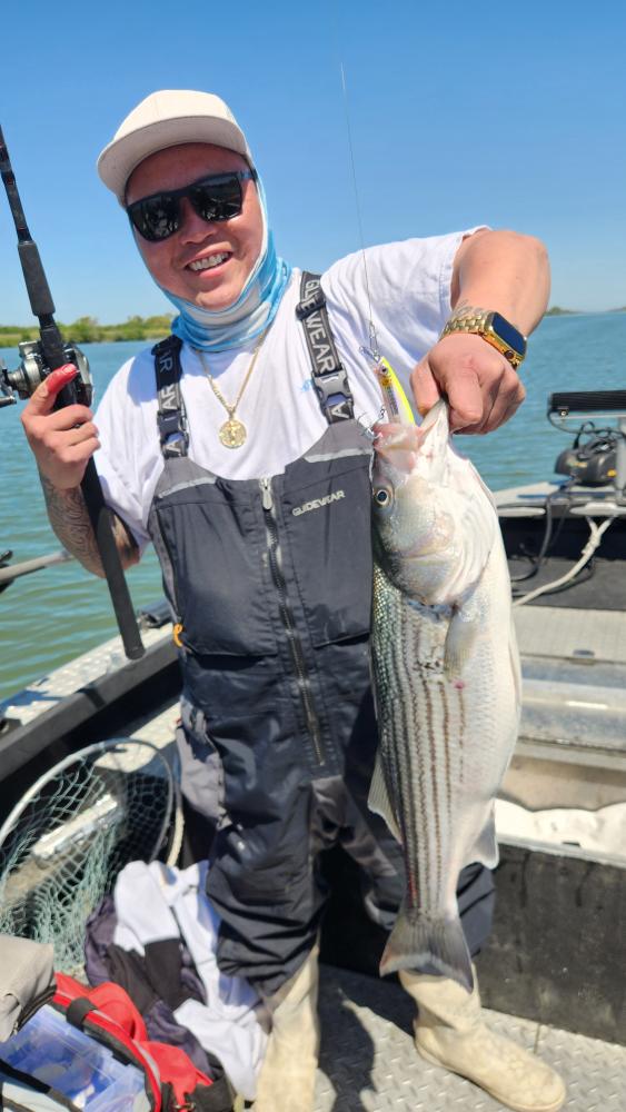 Striper on C-Strike