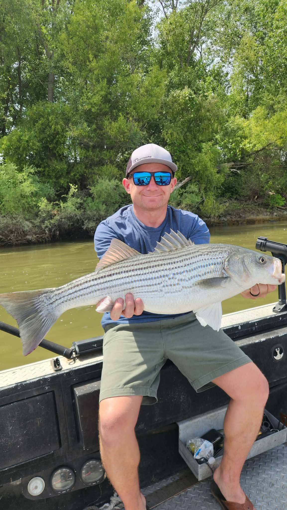 C-Strike® Dynamic Jerkbait