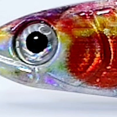 Señuelos tipo pez pasto DartSting para pesca de orilla
