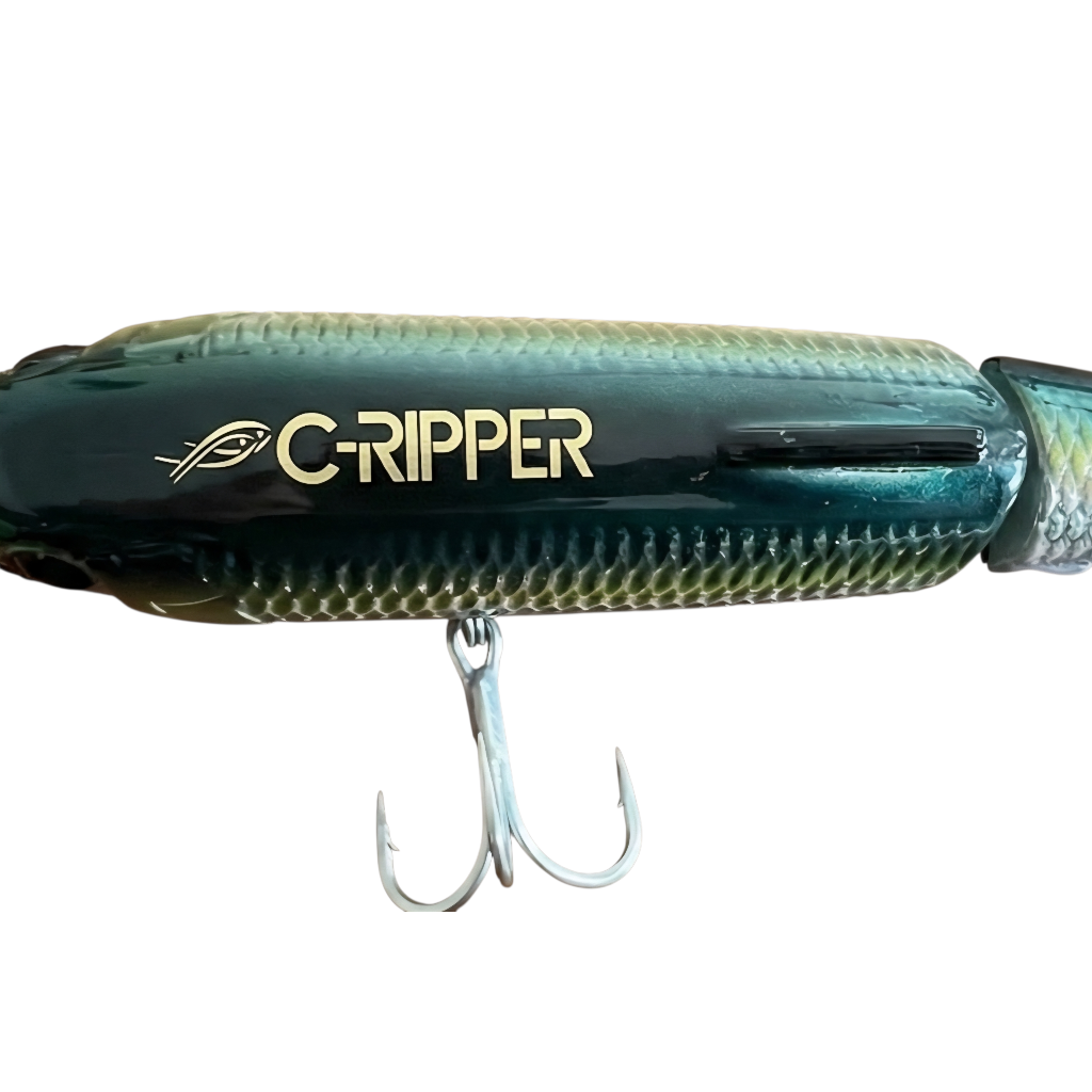 C-Ripper Hybrid Jointed Swimmer