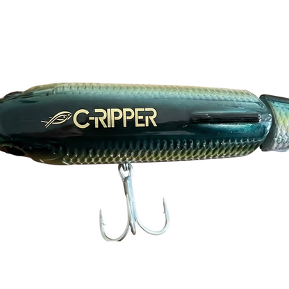 C-Ripper Hybrid Jointed Swimmer