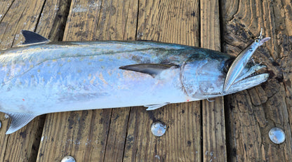 C-Strike® Jerkbait