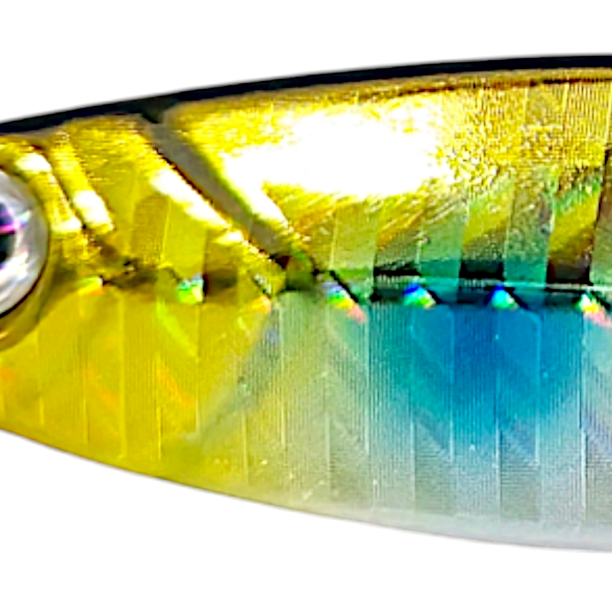 CastMan Gold/Blue