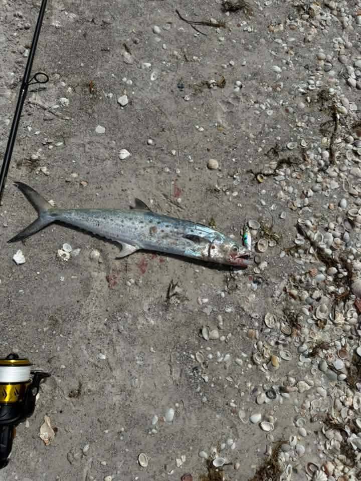 CastMan™ ARMOR Casting Minnows