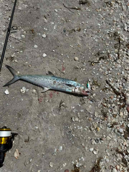 CastMan™ ARMOR Casting Minnows