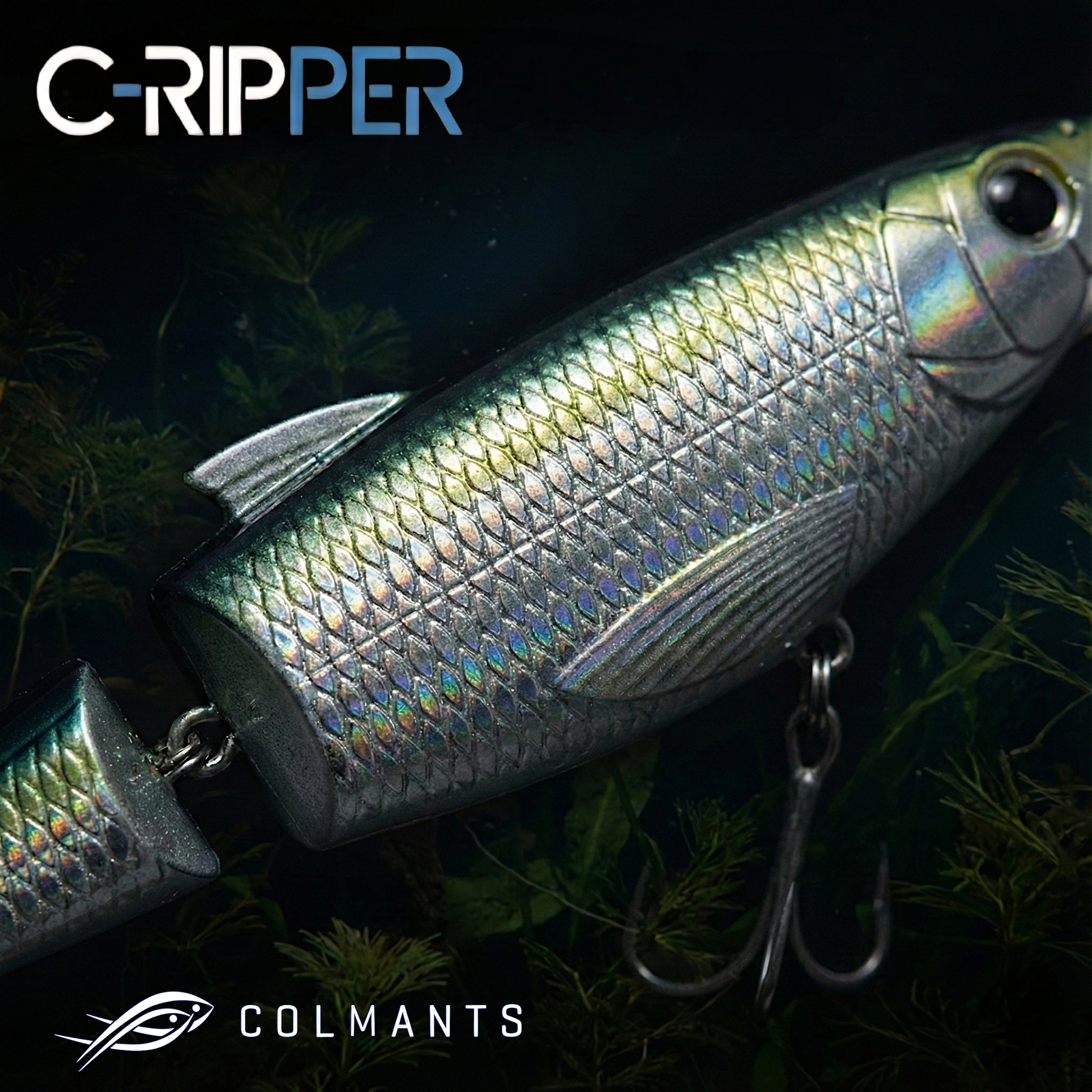 C-Ripper Hybrid Jointed Minnow side profile in Natural Green Shad color