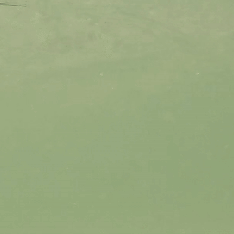 C-Ripper Hybrid Jointed Swimmer