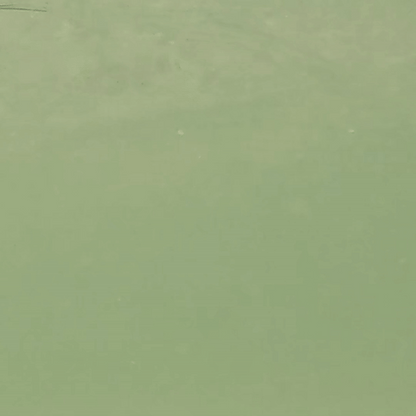 C-Ripper Hybrid Jointed Swimmer