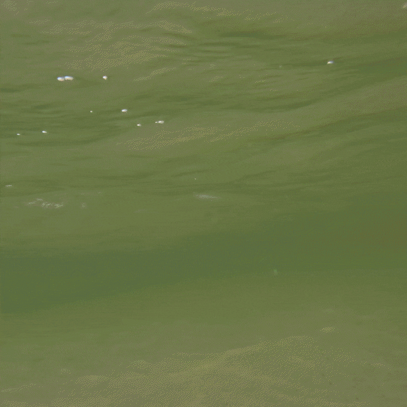 C-Strike® Dynamic Jerkbait