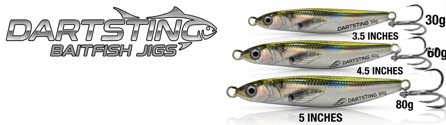 DartSting Baitfish Shore Jigs