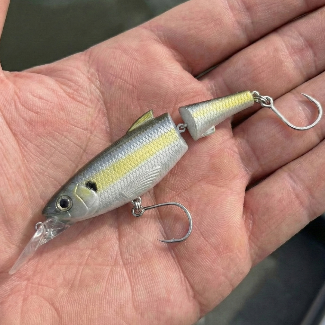 C-Ripper Hybrid Jointed Swimmer