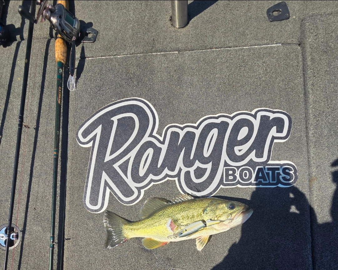 C-Ripper Hybrid Jointed Swimmer